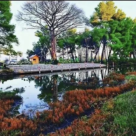 Divjak Dhoma Plazhi *